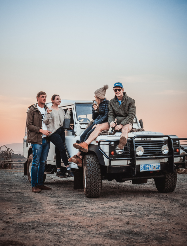 Blueberry Holidays Vision