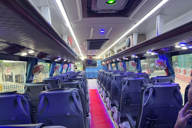 Blueberry Holidays Mission